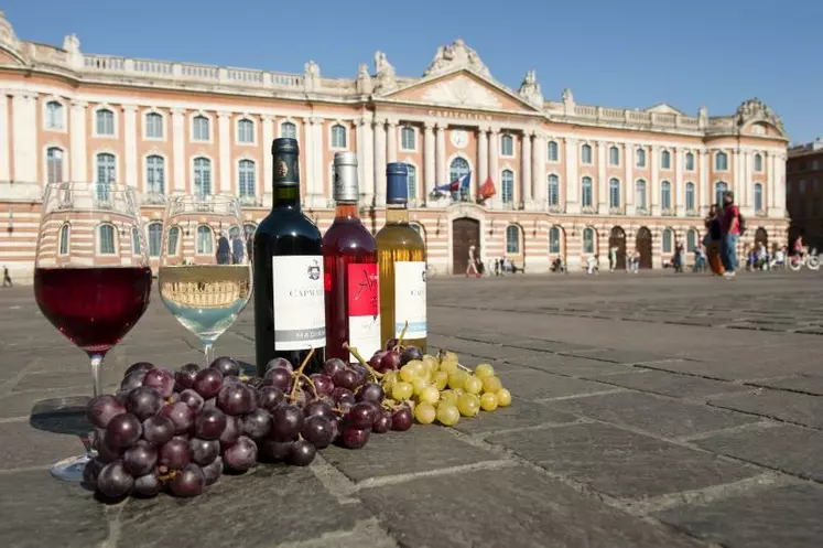 Peu de ville française possède leur propre vignoble. Toulouse est l'une d'entre-elles avec 26 hectares en pleine zone urbaine.