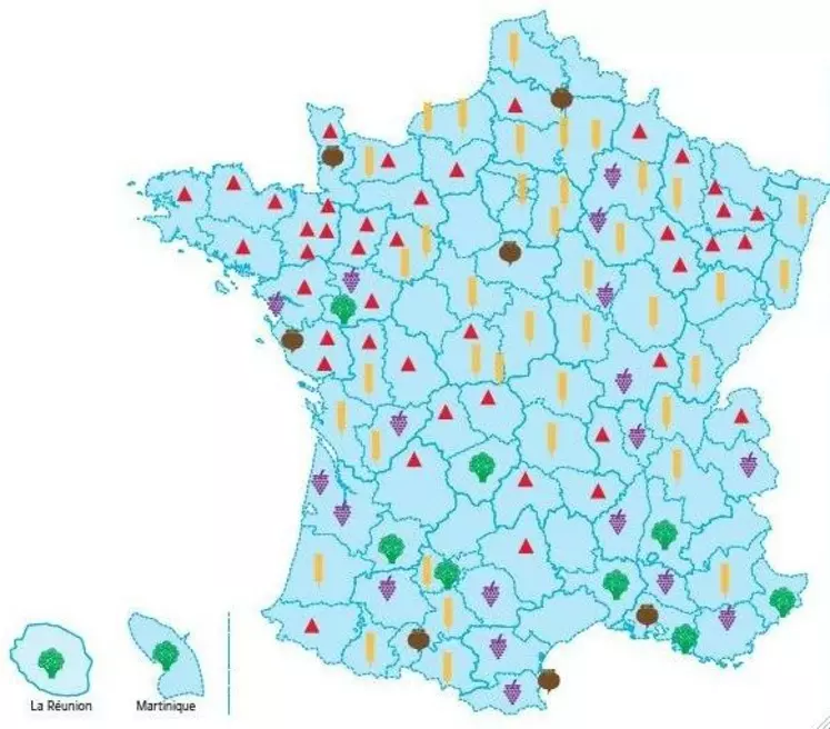 Réseau des groupes de fermes Dephy Ecophyto.