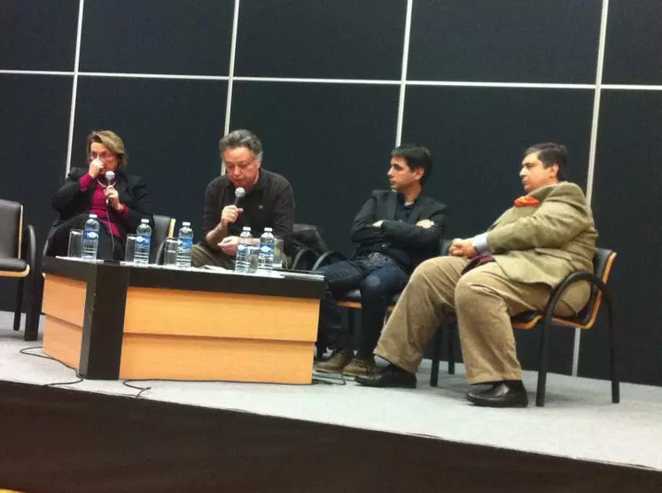 Les intervenants de la table ronde : Nadine Gublin, Jacques Dupont, Christophe Lucand et Nicolas Vivas.