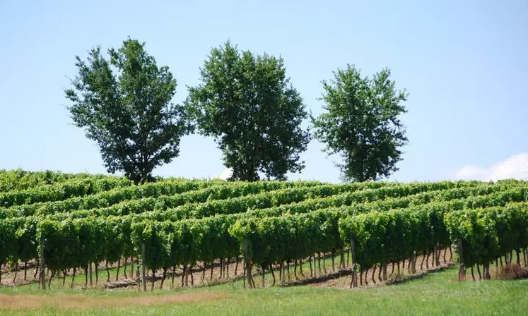 Plateforme Belchim dans le bordelais