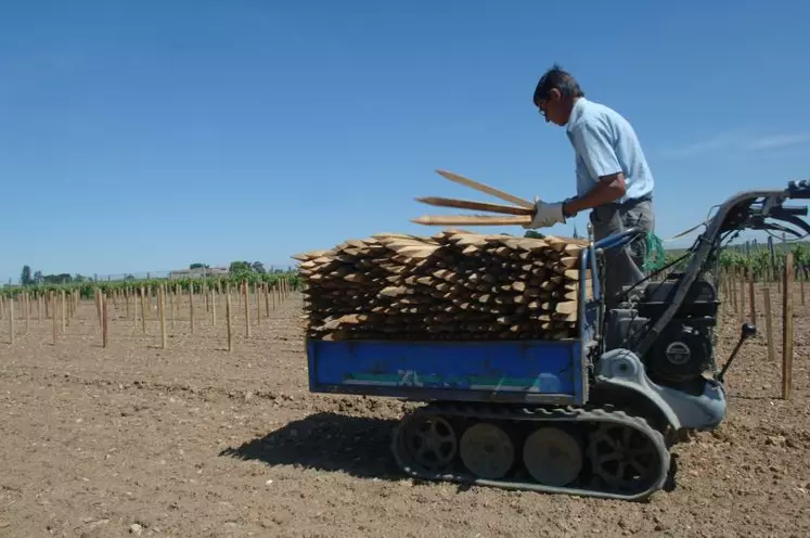 Comment sera régulé l'accroissement du vignoble européen ? Les parlementaires européens préconisent une augmentation de 0,5% des surfaces chaque année, une position plus restrictive que celle défendue par les producteurs français.