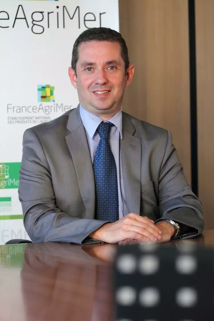 Jérôme Despey, président du conseil spécialisé vin de FranceAgriMer : "Il faut voir ce que l'on peut mettre en place face aux forces et faiblesses de l'OCM vitivinicoles"