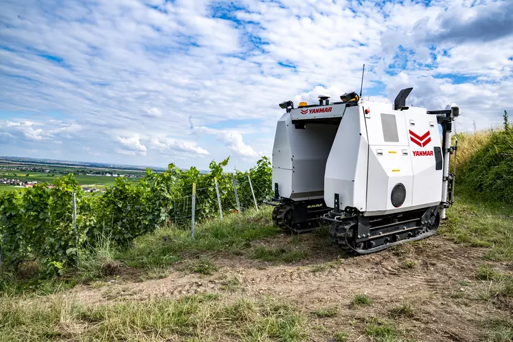 Le robot de pulvérisation viticole Yanmar YV01 a fait ses premières armes dans le vignoble champenois.