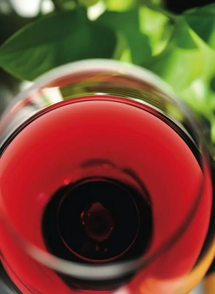 La filière viticole veut défendre une politique équilibrée et concertée autour des questions de santé.