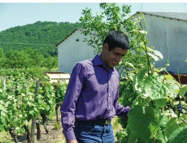Sébastien Philibert, viticulteur 
installé en 2013 sur les terres 
de Vinovalie. “ La coopération attire 
à nouveau. ”