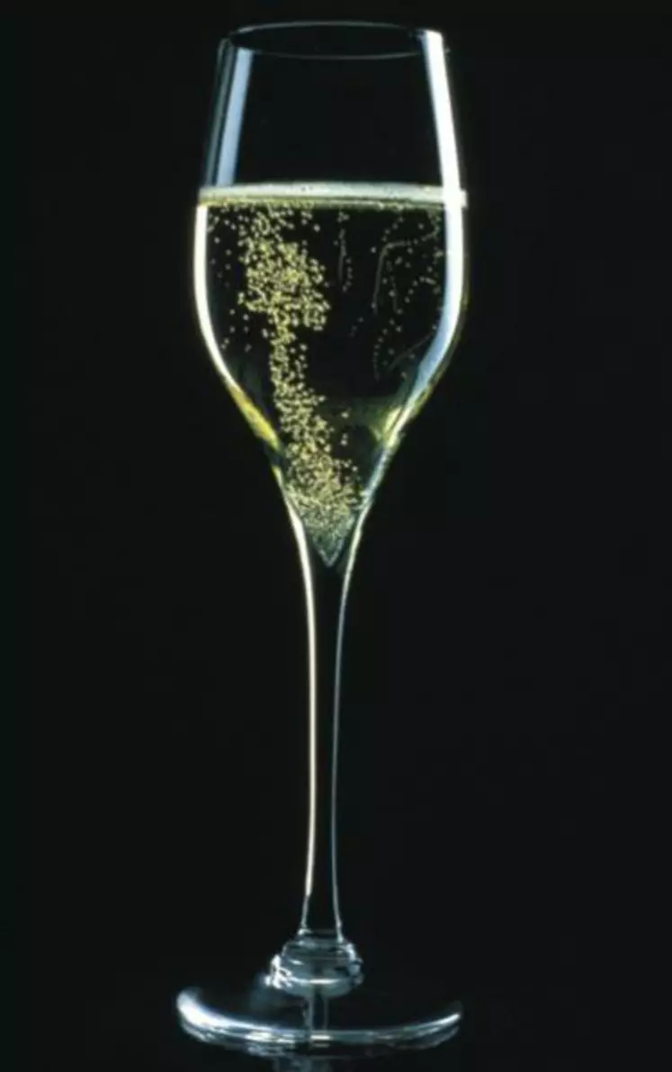Le champagne est, avec les blancs de chardonnay bourguignon, le seul vin à être issu de souches d’oenococcus spécifiques qui se sont adaptées aux conditions acides de vinification.