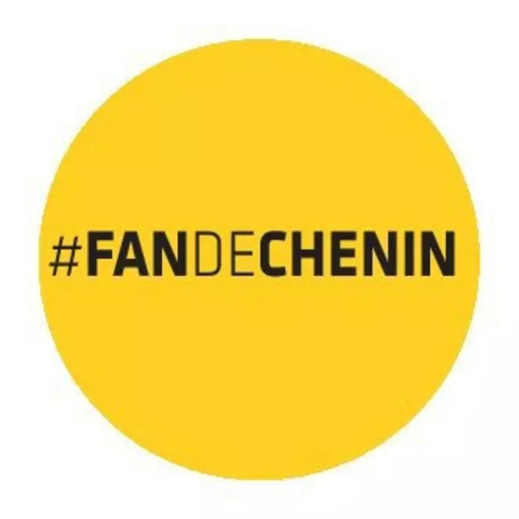 Entre conférences et visites techniques, les fan de chenin ont eu 3 jours pour découvrir les multiples facettes du désormais célèbre cépage ligérien. © Fédération Anjou-Saumur