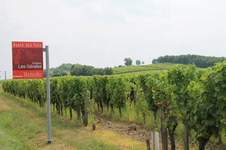 Disposer d'un site internet mis à jour permet au château  Les Gérales d'optimiser sa présence sur la route des vins. © IVBD