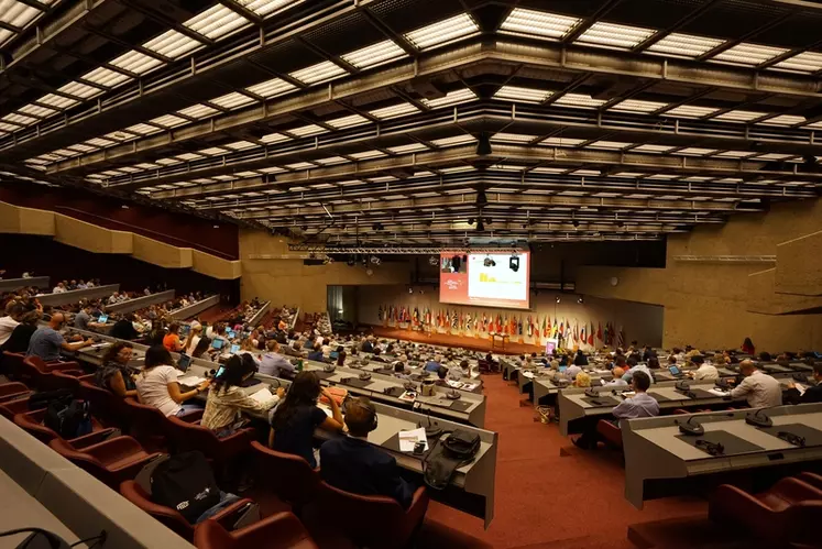 Le 42e congrès de l'OIV qui s'est déroulé à Genève en juillet dernier, a permis à quelques 730 congressistes d'assister à 348 présentations techniques et scientifiques, dont l'une traitait des biofilms microbiens. © Studios Casagrande