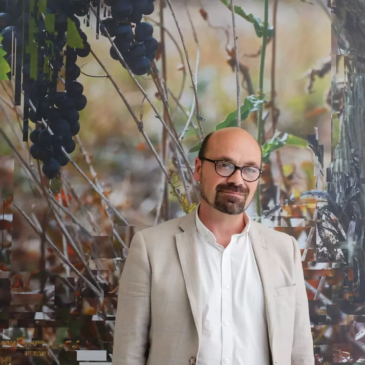 Photographier les vignobles passionne Franck Boucher depuis plus d'une dizaine d'années. © F. Boucher