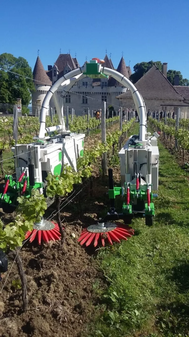 L'expérimentation de désherbage et épamprage avec un robot électrique menée par les vignerons de la cave de Monbazillac est l'un des projets de VitiREV. Il a déjà bénéficié d'un soutien financier de la région à hauteur de 51 460 euros. © IVBD
