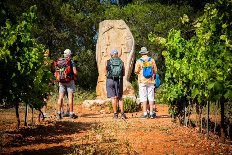 Développé avec succès dans l'Hérault (ici près de Montagnac), le concept Œnorando veut se lancer au niveau national avec l'appui de la Fédération française de randonnée pédestre. © D. Richard /Transit