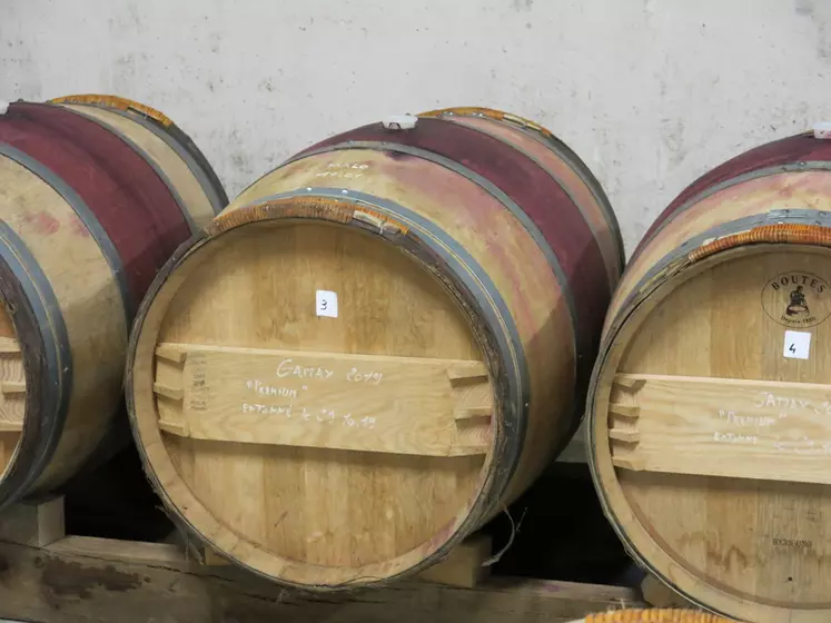 Pour l'élevage de leur vin IGP charentais saint-sornin, Jacques Soulat et Olivier Pucek ont acquis des fûts issus d'un premier cru classé du Médoc. © C. Gerbod
