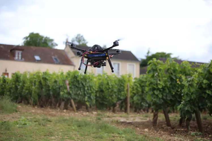 Scanopy possède une flotte de cinq drones et réalise les vols sans que la présence du viticulteur ne soit nécessaire.  © Scanopy