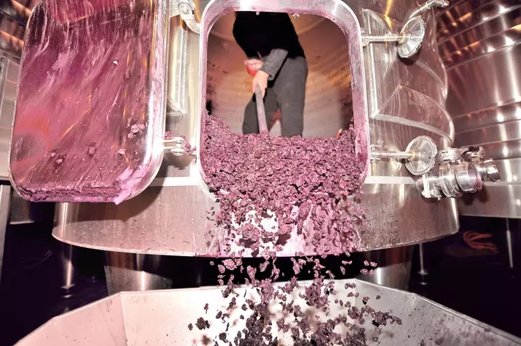 Le Syndicat des vignerons bio de Nouvelle-Aquitaine est en train d'élaborer un protocole de pied de cuve pour lancer les fermentations malolactiques directement après les écoulages. Les souches bactériennes ensemencées sont issues des lies de l'année précédente. © P. Cronenberger