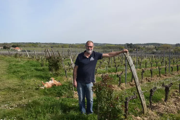 Philippe Ducourt, responsable des vignobles Ducourt dans l'Entre-deux-mer, a réduit ses IFT de 30% en dix ans en actionnant plusieurs leviers. © J.Gravé