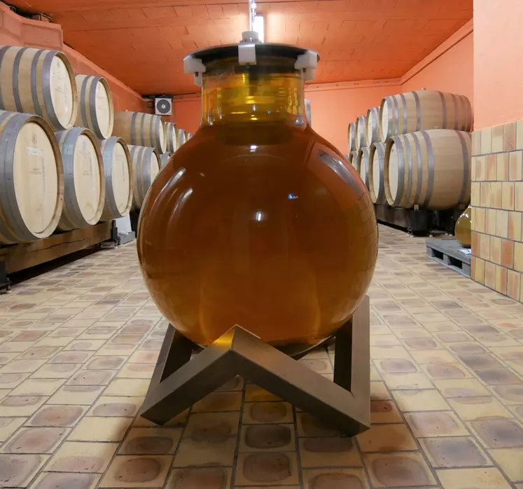 Les Wineglobes de 60, 115 et 400 litres sont en cours de développement. © J. Gravé