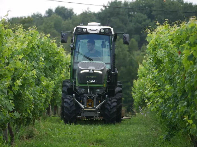 Fendt 211 V Vario - Un tracteur vigneron personnalisable à souhait