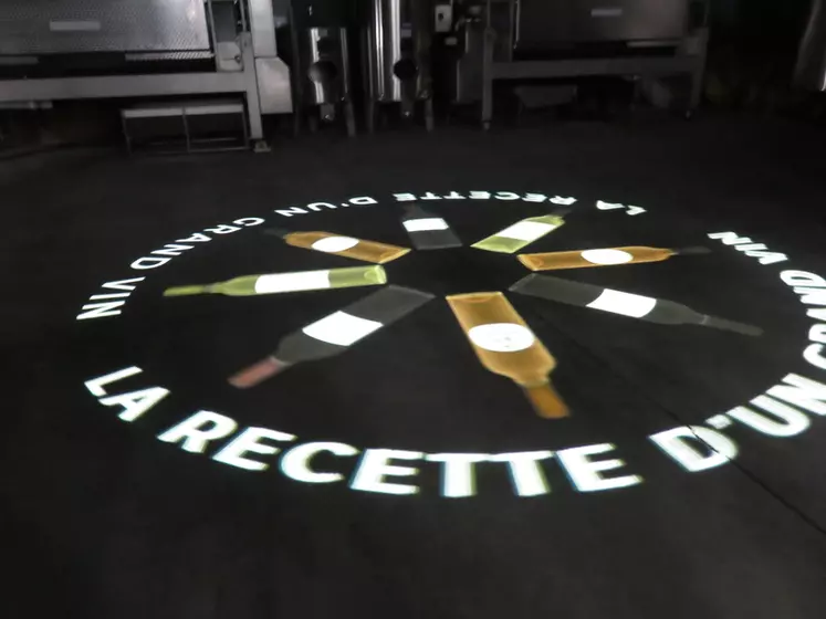 Une visite œnomusicale immersive