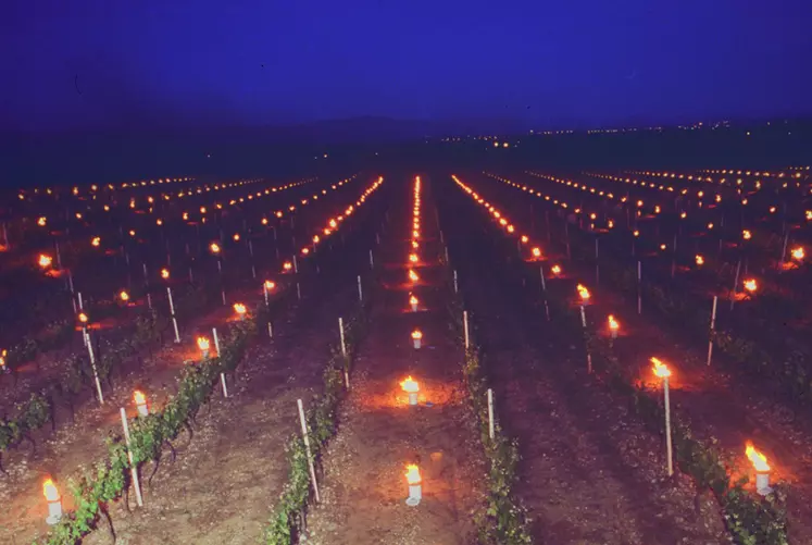Entre 200 et 500 bougies par hectare sont nécessaires pour contrer efficacement la baisse des températures.