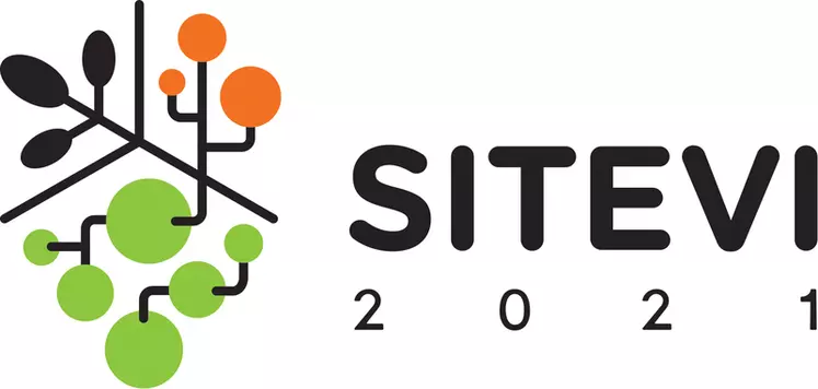 Le Sitevi fête sa trentième édition