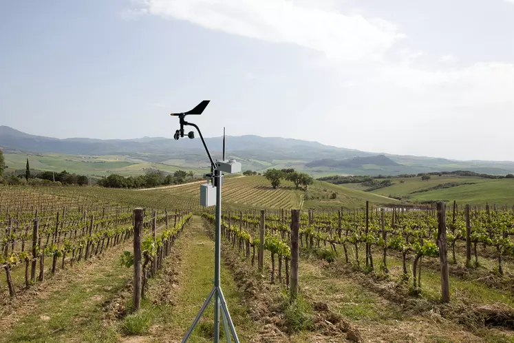 Le capteur de rayonnement solaire Solarcrop de Sencrop se couple avec l'anémomètre connecté (Windcrop) et le pluviomètre connecté (Raincrop) de la marque.