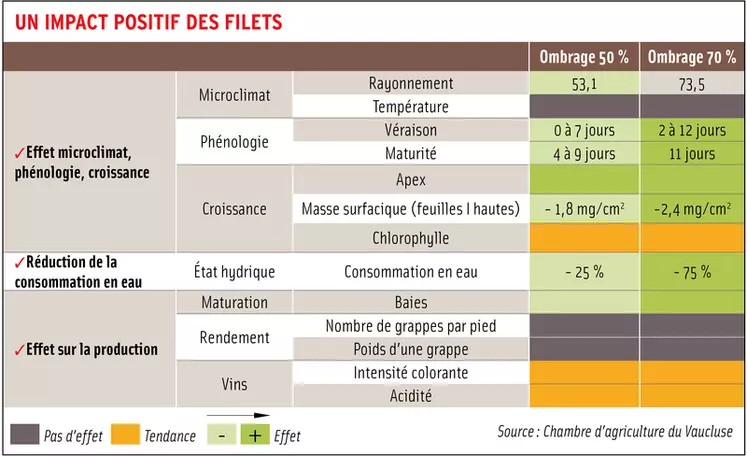 Des pistes émergent pour lutter contre la sécheresse en viticulture