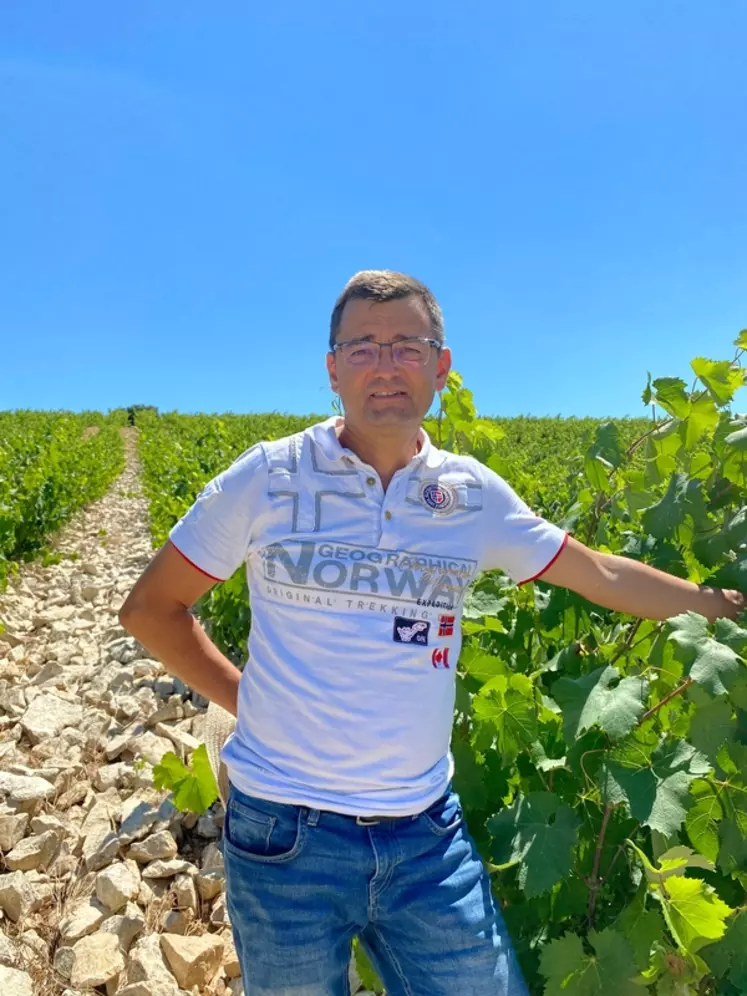François Berud, chef de service pôle Vigne et vin de la chambre d’agriculture du Vaucluse