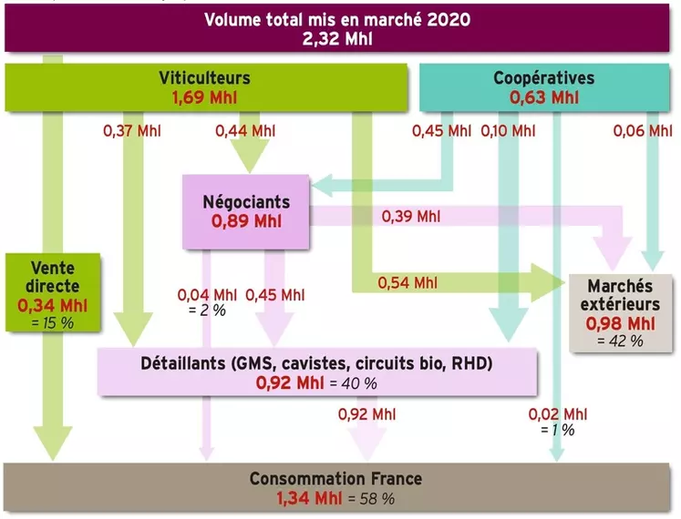 En 2020, 58 % du volume de vins bio mis sur le marché a été commercialisé en France et 42 % à l'export.