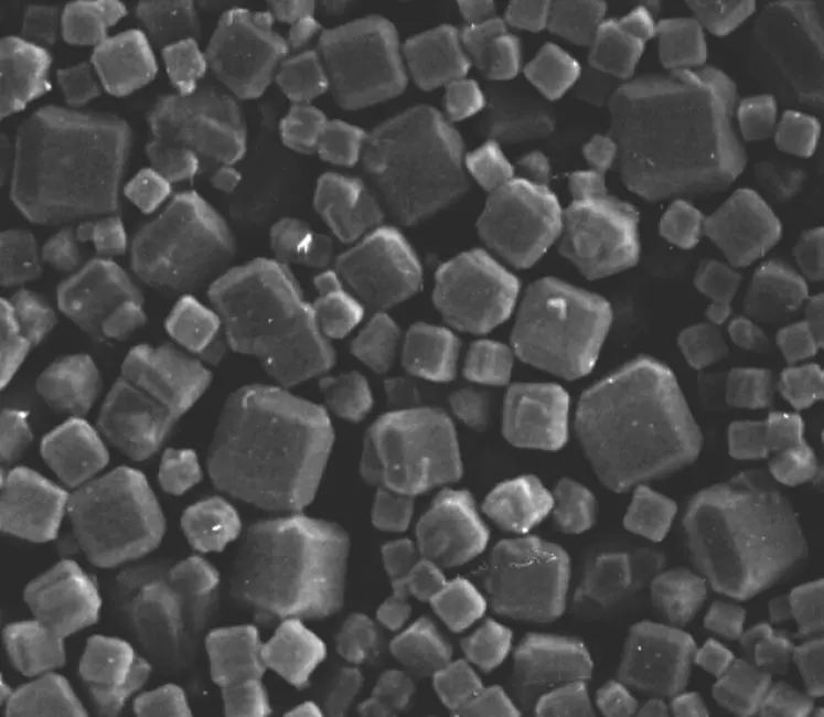 Lorsque l'on regarde au microscope, la zéolithe forme de petits cristaux carrés microporeux.