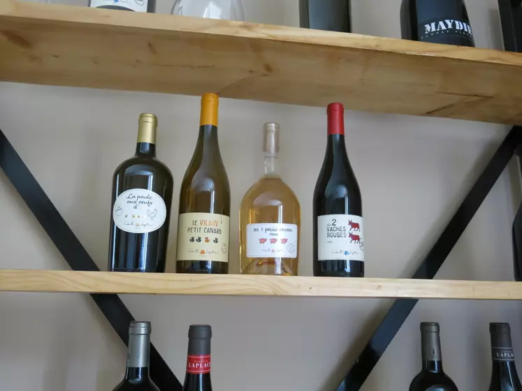Avec leur gamme La Basse Cour les jeunes Laplace ont voulu créer des vins correspondant aux goûts de leur génération.