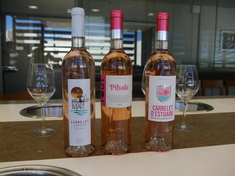 Les rosés de la gamme de Tutiac arborent une couleur pâle, obtenue grâce à des recettes de collage pointues.