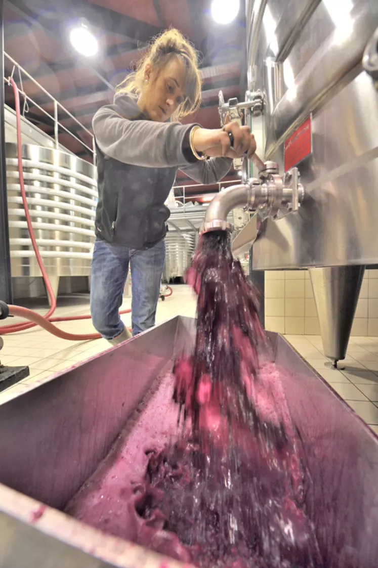 Les opérations d'extraction telles que les remontages doivent être raisonnées selon le profil du vin.