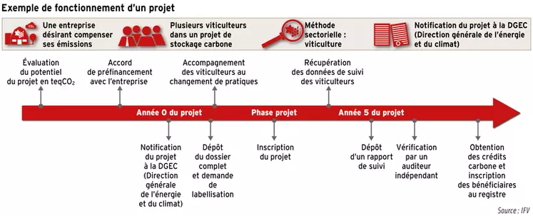 Comprendre le label Bas carbone en viticulture