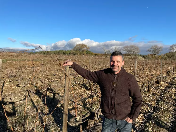 Laurent Rogier, vigneron du Domaine du Pastre, à Caromb dans le Vaucluse, a commandité une étude sur ses coûts de revient en 2017.
