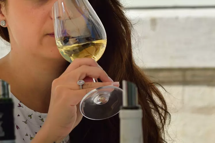 Le taux d'alcool des vins blancs aurait un faible impact sur leur appréciation par les consommateurs.