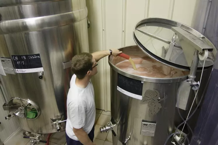 La réalisation d'un pied de cuve bactérien permet de sécuriser la fermentation malolactique.
