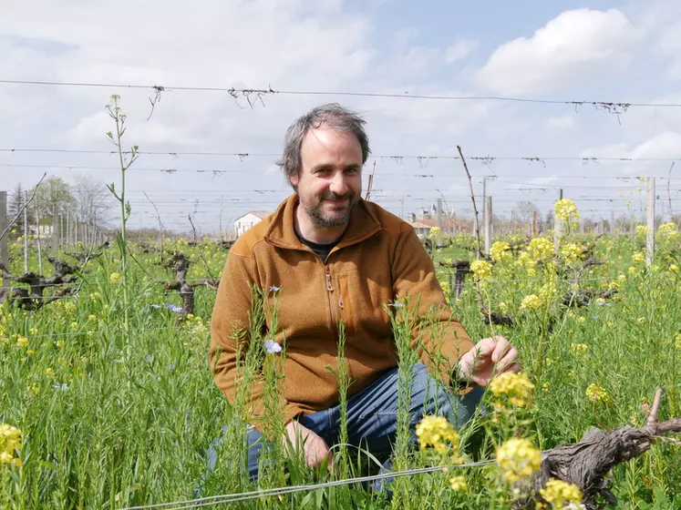 Victor Moreaud, vigneron à Saint-Émilion, en Gironde, accorde une grande importance aux couverts végétaux dans les vignes.