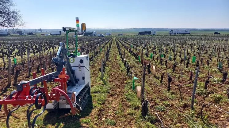 Dans les vignes étroites de la Cuma bourguignonne, le robot Jo, de Naïo Technologies, travaille entre 1,2 et 2 hectares par jour.