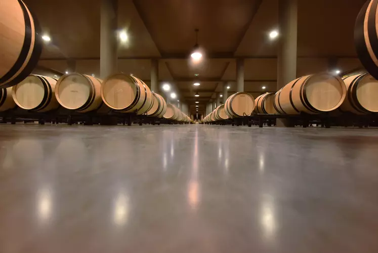 Chai à barriques au Château de Fieuzal en appellation Pessac Leognan. Elaboration de vins bordelais. Chai à barriques. élevage de vin. passage en fût de chêne. barrique ...