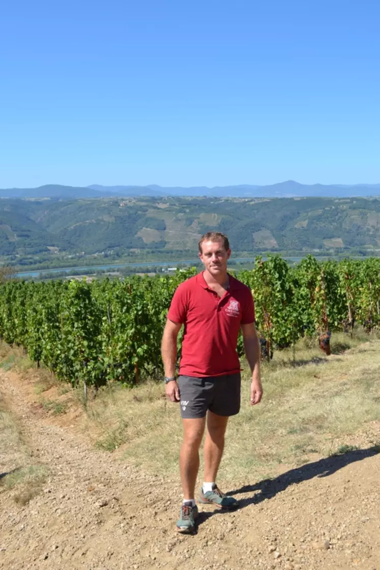 Foncier viticole : grandir avec l’aide de la coopérative