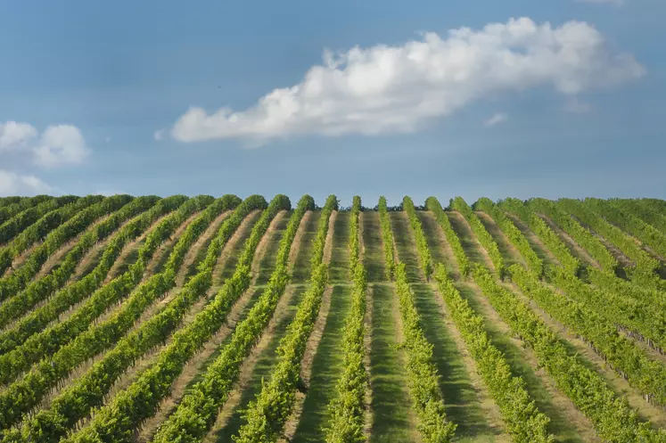 La qualité de l'air a notamment été mesurée dans le Bordelais.