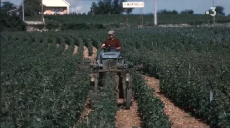 L'épopée des vignerons, documentaire diffusé sur France 