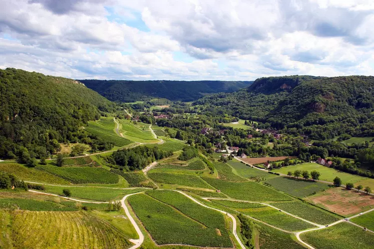 Prix des vignes en France