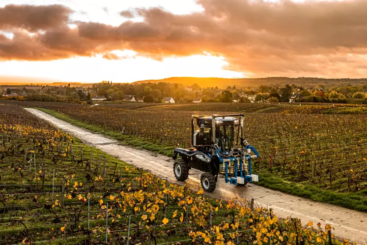 Les tracteurs enjambeurs New Holland TE6 sont déclinés en quatre modèles. 