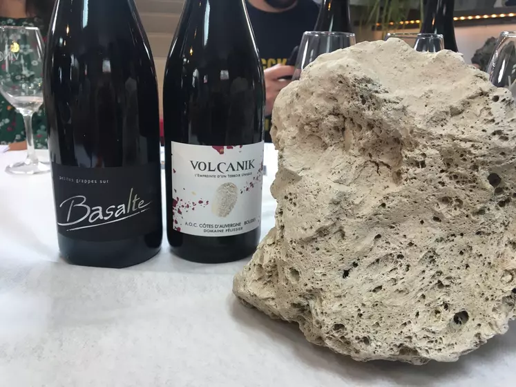 Les vins produits sur des terroirs volcaniques ou volcano-sédimentaires (comme sur cette pierre ponce) le mentionnent sur l'étiquette et pourront bientôt prétendre au label Volcanic Origin.