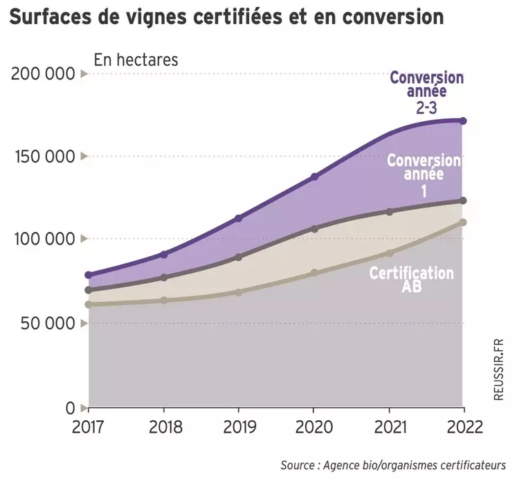Vin bio 2022 : ventes en hausse, conversions en baisse