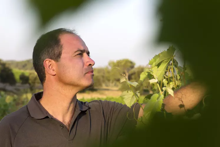 Fabrice Maubert, œnologue conseil chez Languedoc Œnologie, à Fabrègues, dans l’Hérault, considère que le bâtonnage est intéressant sur un blanc moyen-haut de gamme.