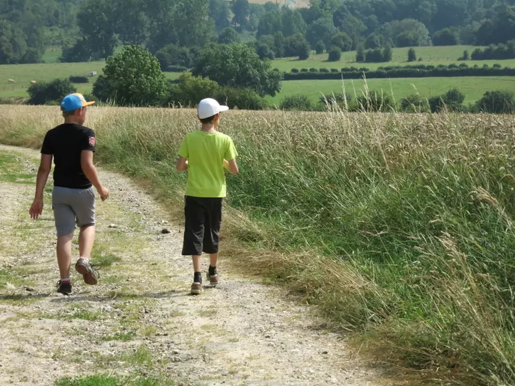 jeunes garçons sur un chemin de campagne. enfants. démographie des territoires ruraux. population rurale. vacances à la campagne. balade. promenade. marche. sport. ...
