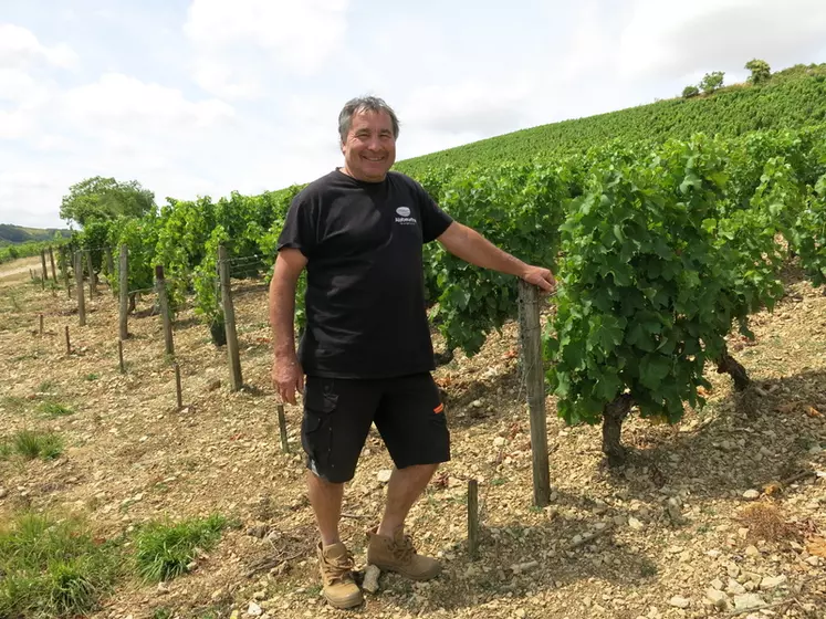Jean-Paul Labaille, vigneron du domaine Thomas-Labaille, s'est résolu à effectuer le contrôle stratégique phytosanitaire. Il devra le renouveler dans deux à trois ans.
